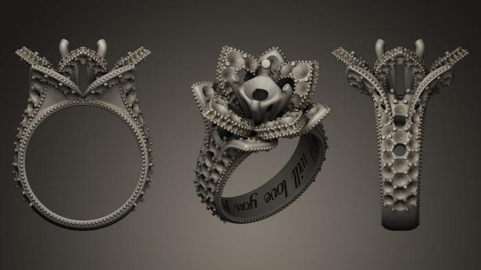 Jewelry rings (JVLRP_0017) 3D model for CNC machine